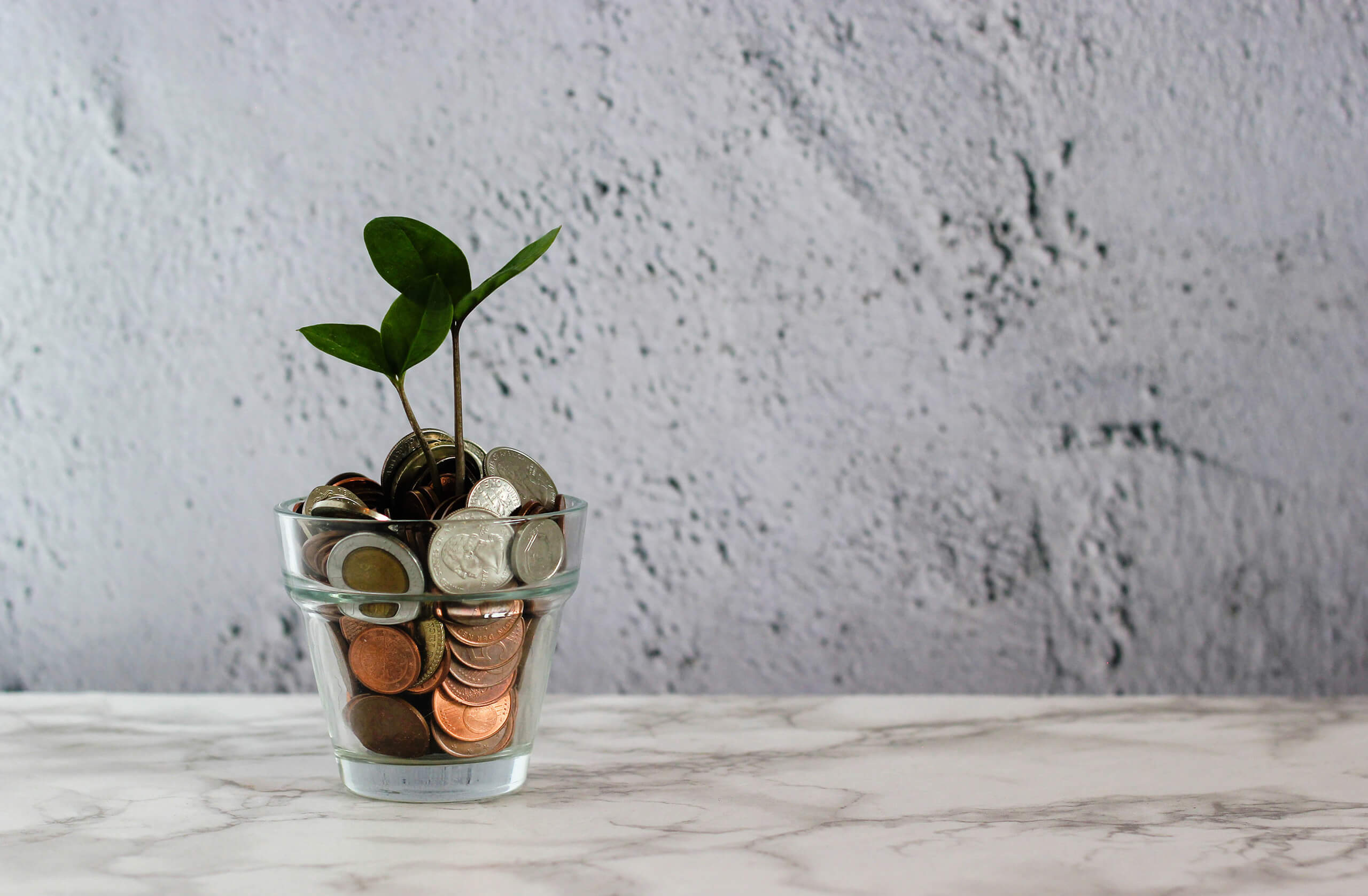 Read more about the article Financial Will