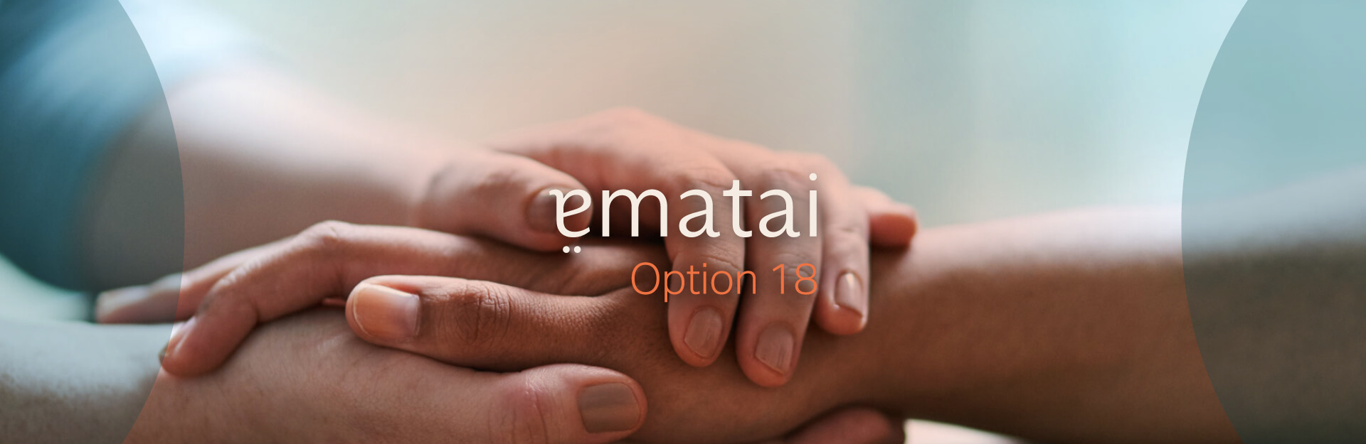 Read more about the article Introducing Option 18