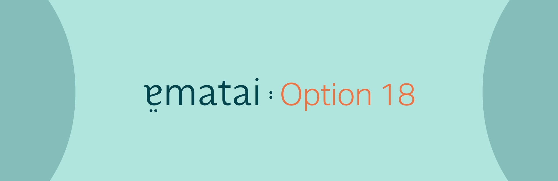 Read more about the article Option 18