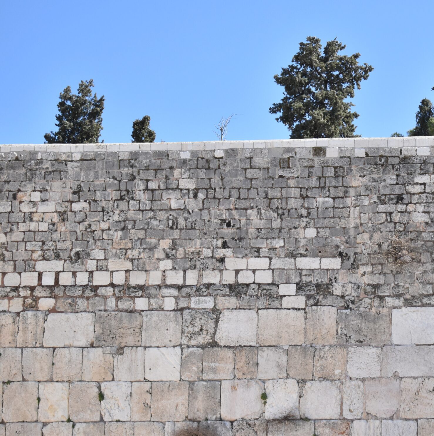 Read more about the article Tisha B’Av Observance When Ill