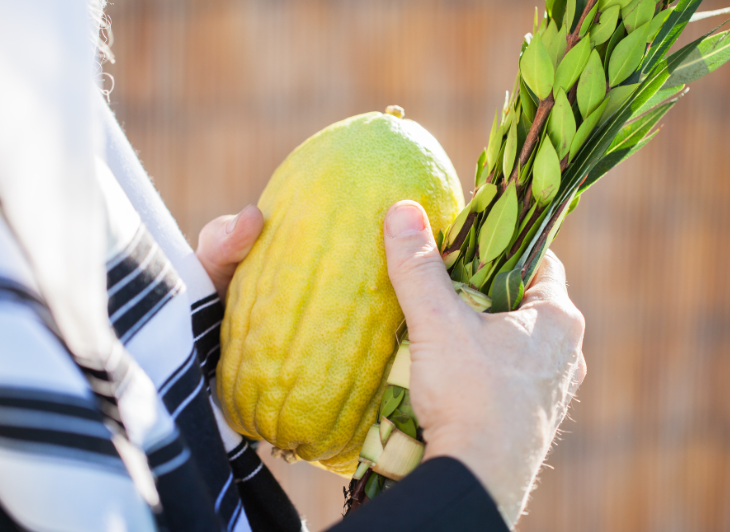 Guidelines for the Ill on Sukkot