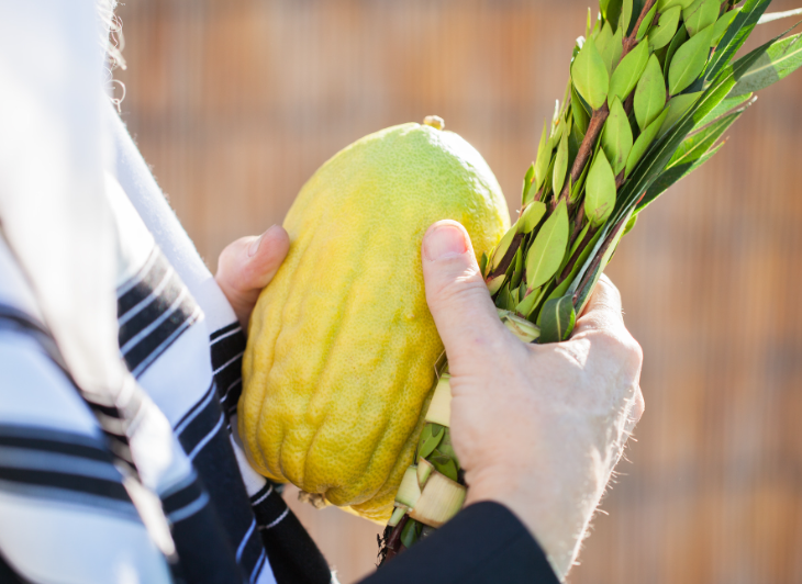 Read more about the article Guidelines for the Ill on Sukkot